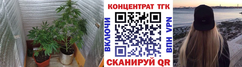 Дистиллят ТГК THC oil  продажа наркотиков  Пересвет 